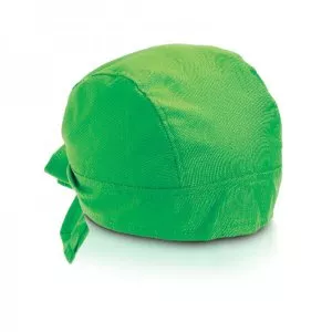 kr2410_green