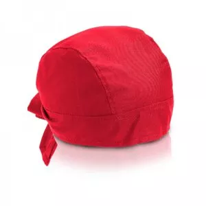 kr2410_red