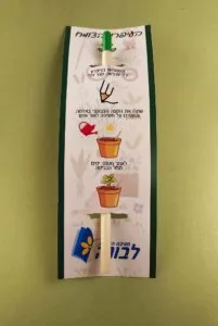 עפרון צומח