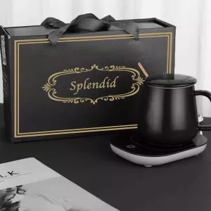 SPLENDID (4)