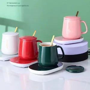 SPLENDID N (7)