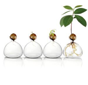 SPROUT1
