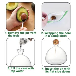 SPROUT4